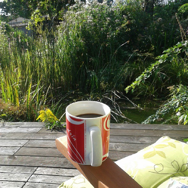Ein #Coffee auf dem #Land am #Morgen, was will man mehr.