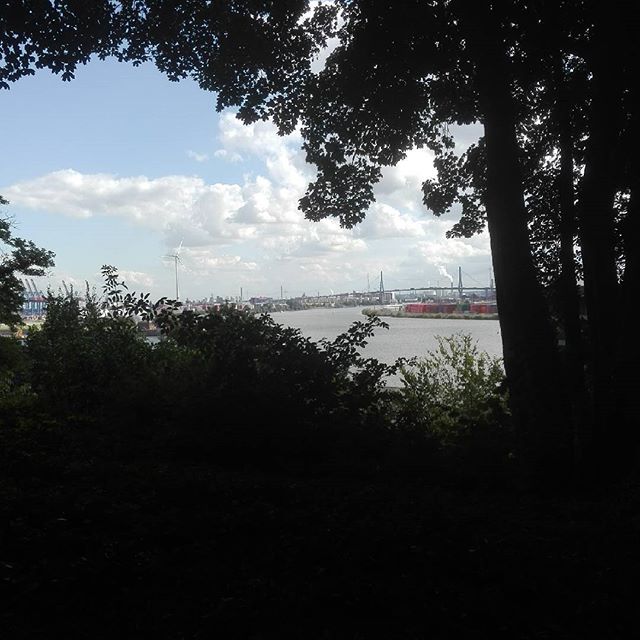 Blick auf den Hafen. #hafen #hamburg #elbe