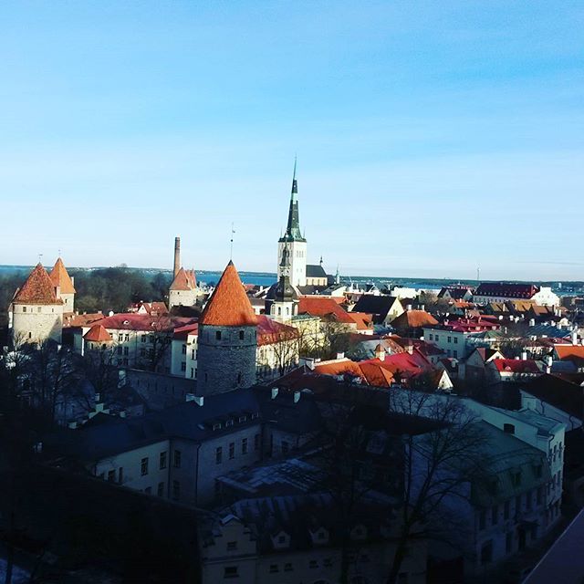 Tallinn Dom #estinoa #tallinn