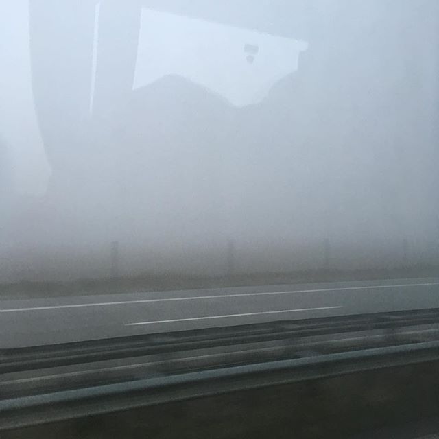 Nebel #nebel #norden