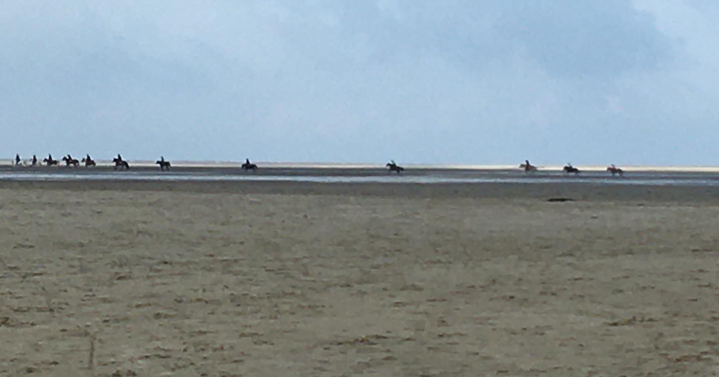 Reiter am Strand von Sankt Peter Ording, genauer am Böhler Strand. #spo #nf_lieben #moin #nf.#strand #bcspo21