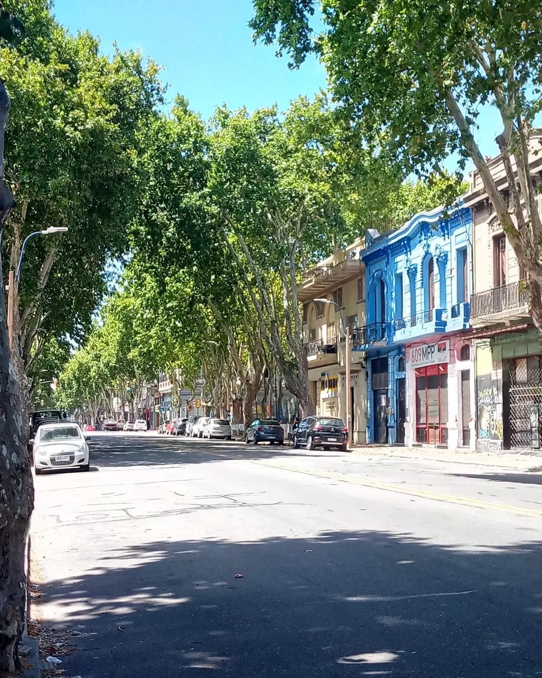 Eine Straßenansicht aus Montevideo. #Montevideo #Uruguay #Reisen #Travel #Unterwegs #Strassenansicht #Bäume #Häuser #Strasse